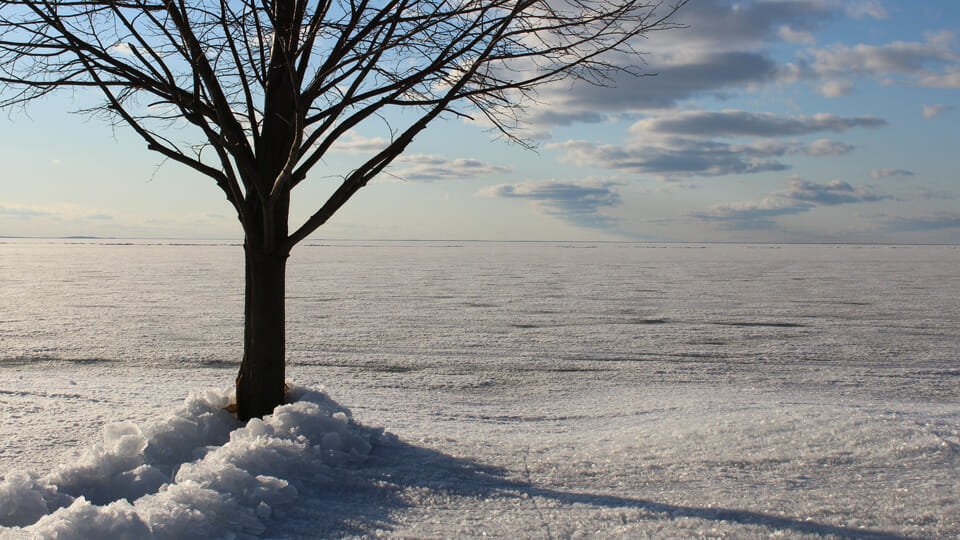 ice-out (Demo)
