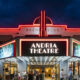 Andria Theatre Remodel - Alexandria, MN