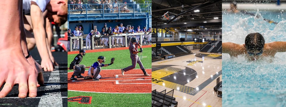 Athletic Facility Design