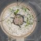 Blandin Foundation Turtle Aerial View thegem post thumb small