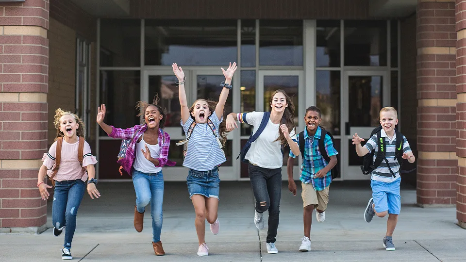 Steger Rd Voyager Dr Safety Impvs