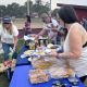 Table with food at the Widseth-Pine Island Softball Game-Summer 2026